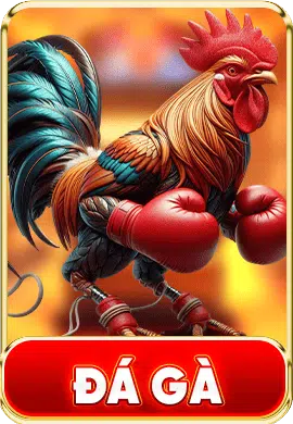 Đá gà NN88