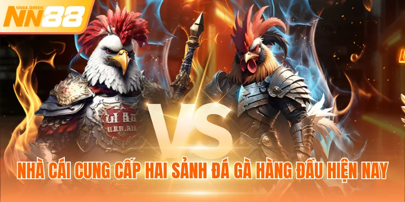 Nhà cái cung cấp hai sảnh đá gà hàng đầu hiện nay